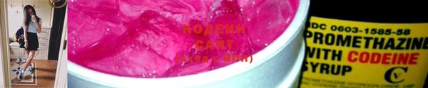 шишки Инсар