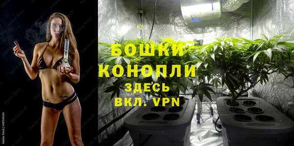 шишки Инсар