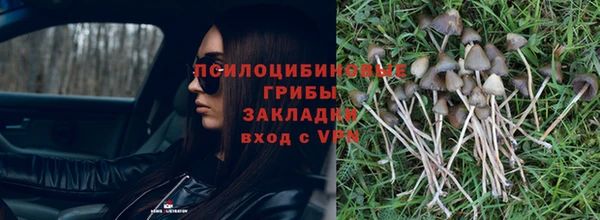 метадон Зерноград