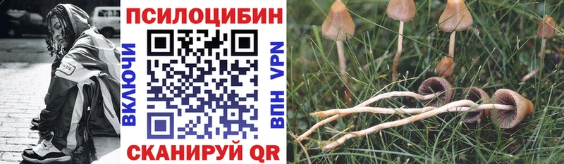 Купить где  Заволжск  Галлюциногенные грибы ЛСД 