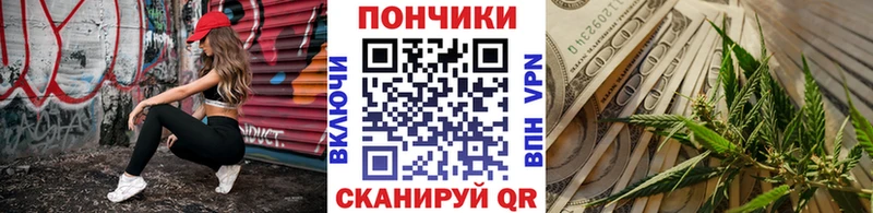 Конопля OG Kush  Купить где  Заволжск 